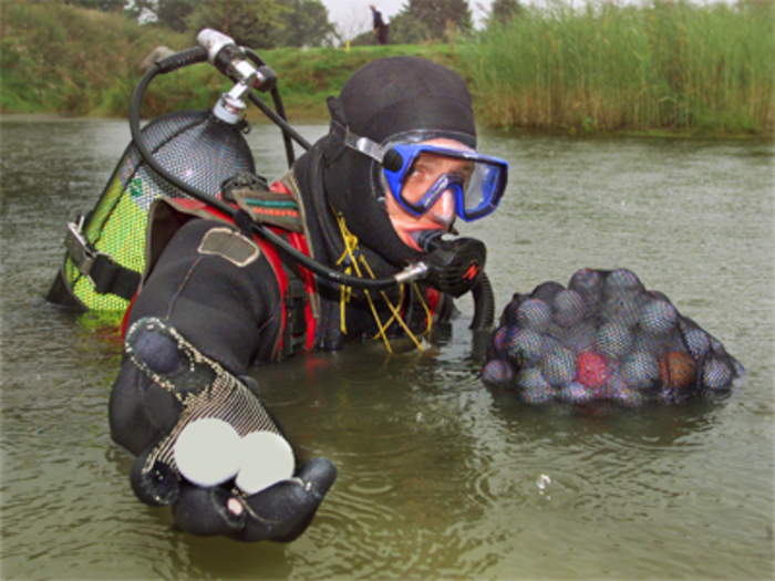 Golf ball divers are given the difficult task of scuba diving to the bottom of golf course ponds and lakes to retrieve golf balls. This unconventional job can be hard work. Each bag of golf balls can weigh around 70 pounds and ponds can often be inhabited by poisonous snakes and even alligators. However, if you
