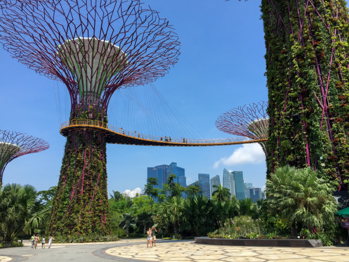 Some cities, like Singapore, are actively making their spaces more wildlife-friendly. These lit up structures are supertrees, 160-feet-tall (50 meters) metal structures teeming with plant and animal life.