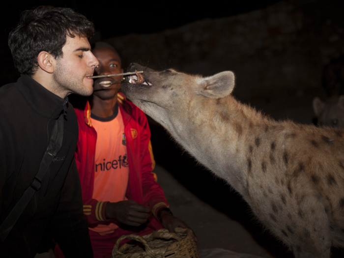 Some people even feed hyenas with their mouths.