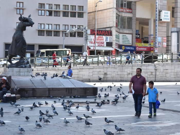 But pigeons are the most successful urban birds around the world, according to "Planet Earth II."