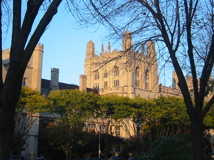 5 years of education at the University of Chicago