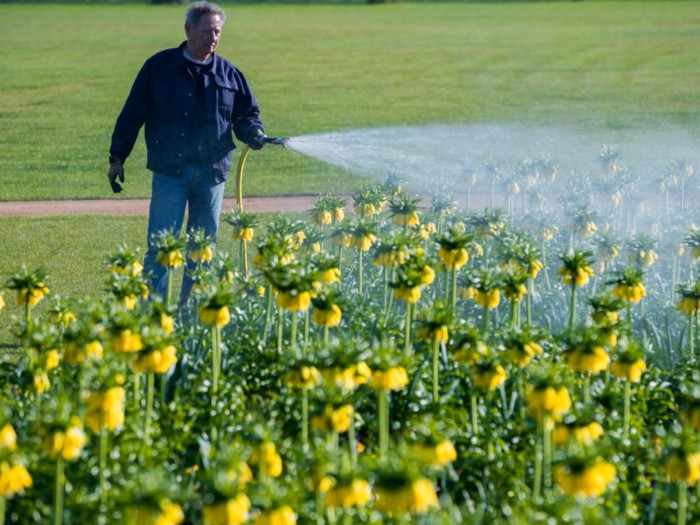 25. Landscaping and groundskeeping workers make an annual salary of $27,930.