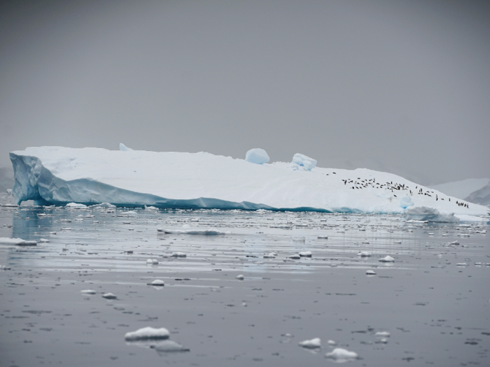 One example of this is rising sea levels. Climate change is linked to glaciers melting, which results an increase in sea levels. While rising sea levels are not a natural disaster on their own, they can lead to natural disasters, such as flooding.