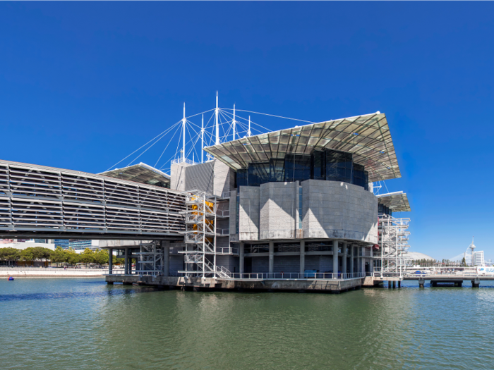 Berrio also suggests paying a visit to "the best aquarium ever" — the Lisbon Oceanarium.