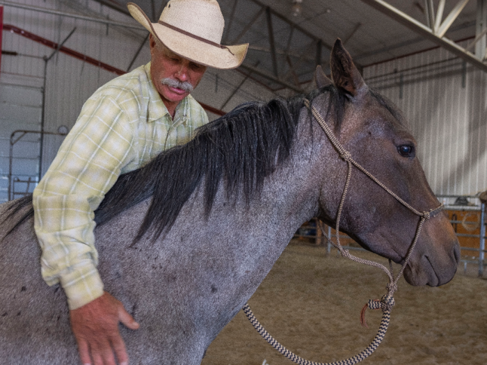 By the end of the demonstration, which took a little over an hour, it seemed that if Grant would have continued working with the horse for another hour or so, he would be riding her.