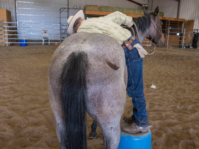 Eventually, Grant had his entire upper body lying on the horse