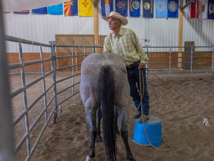 Grant took it a step further by getting up on a bucket and leaning onto the horse