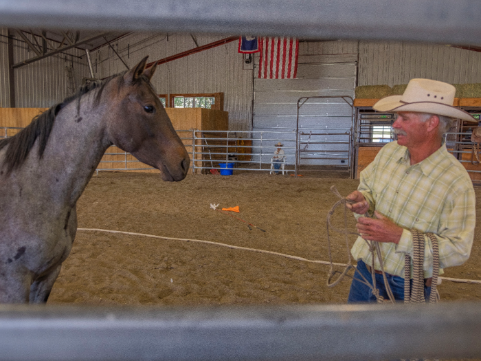 Grant approached the mare with a halter, which I was skeptical he