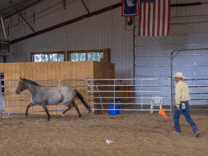 For no reason I could see, the mare suddenly got spooked and ran to the other side of the arena. Immediately, we went back to yelling and making noise while Grant waved the flag — applying pressure, as he calls it.