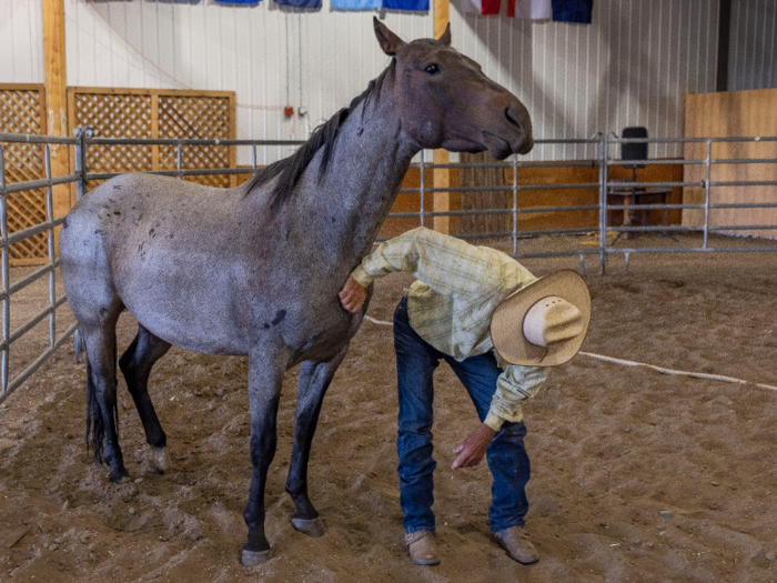 Slowly, Grant stood up and reached out to stroke the horse with the back of his hand. Then he started scratching a particular spot on her chest where bugs tend to bite this time of year and the horses can