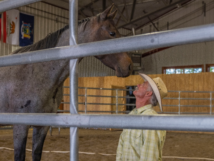 Grant then turned his face up to the horse.