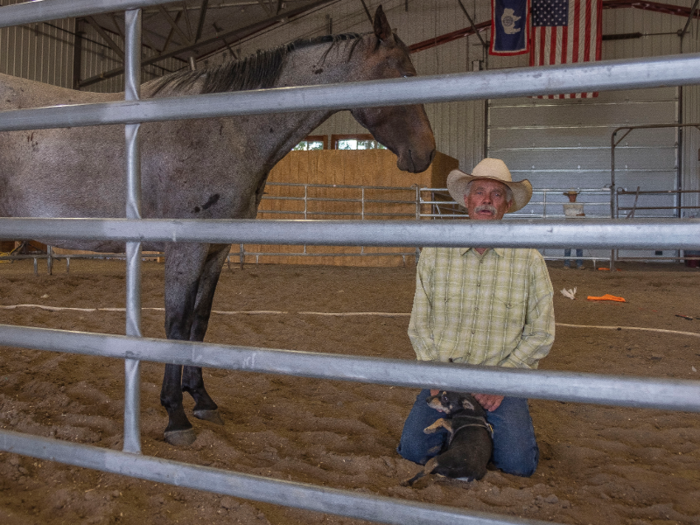 Grant then dropped to his knees in front of the horse.