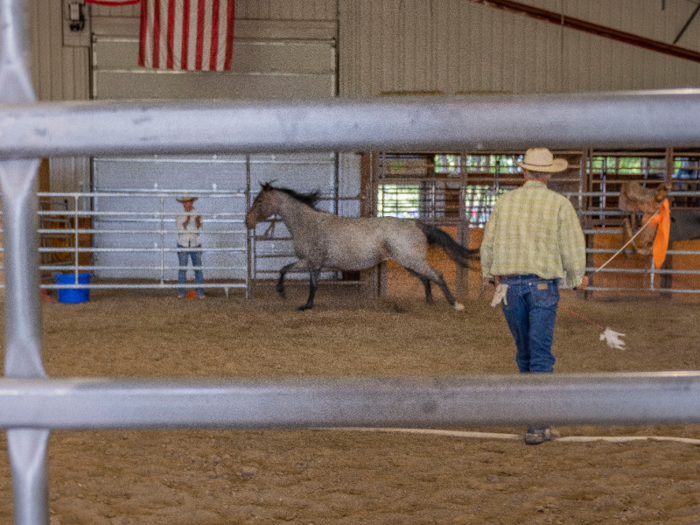 For the first exercise with the horse, Grant laid down a rope on the ground that split the arena in half. His goal was to get the mare to stay on the "scary" side of the rope — the side closest to where I and two other people sat watching.