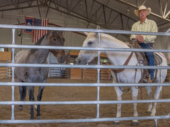 Grant started out mounted on Freckles, a 25-year-old gelding. The first step was to make sure the mare was showing submission to Freckles, the dominant member of the ranch