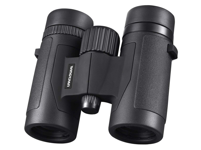 The best budget binoculars