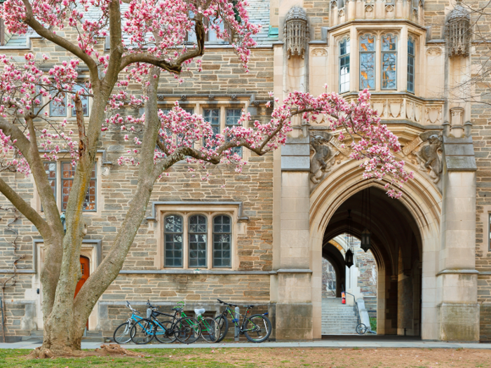 Princeton University: $213,769