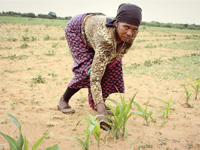 Botswana has been dealing with water issues and droughts for years, due to low rainfall, urban growth, and poor infrastructure. Along with South Africa and Namibia, Botswana has agreed to import water from Lesotho, using a 224-mile pipeline that will run across South Africa.