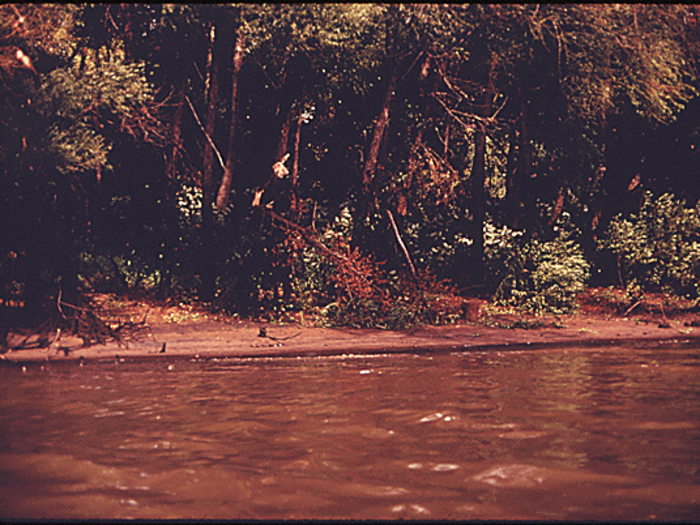 Near Pittsburgh, oil-coated trees on the shore of the Ohio River show the damage done by spills and industry.