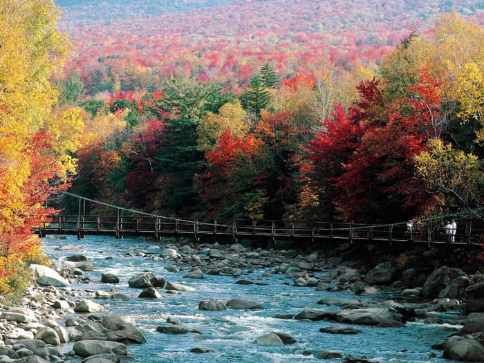 14. New Hampshire