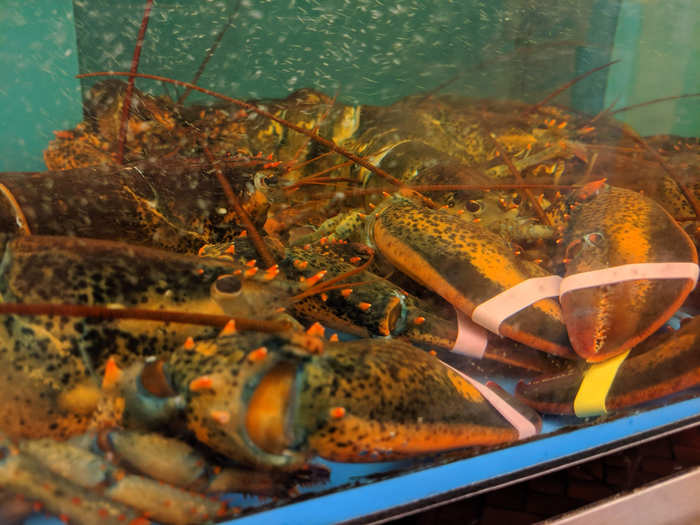 On the other side of the butcher case, a wealth of seafood is laid out over ice. Next to that, unlike most supermarkets, is a case full of lobster!