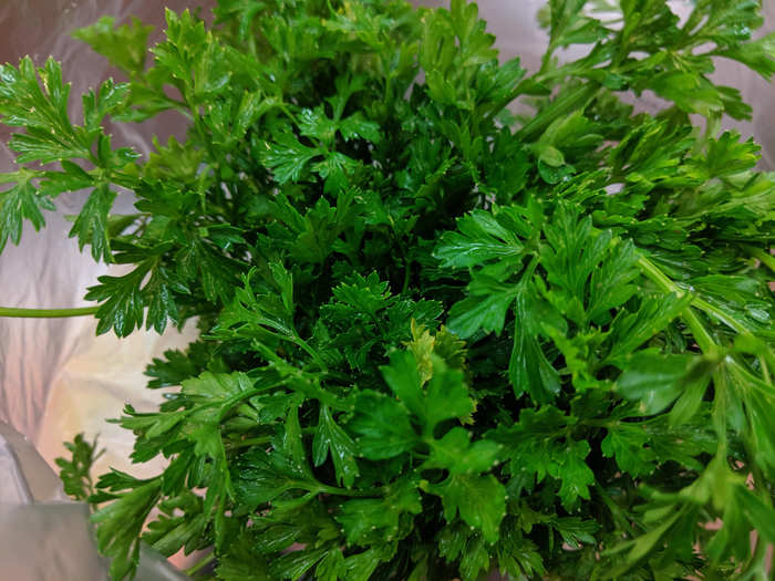 Just look at this absurdly gorgeous, curly parsley!