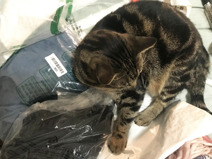 Plastic bags: Bad for the environment, good for my cat, who is weirdly obsessed with sleeping atop any and all variety of bag.