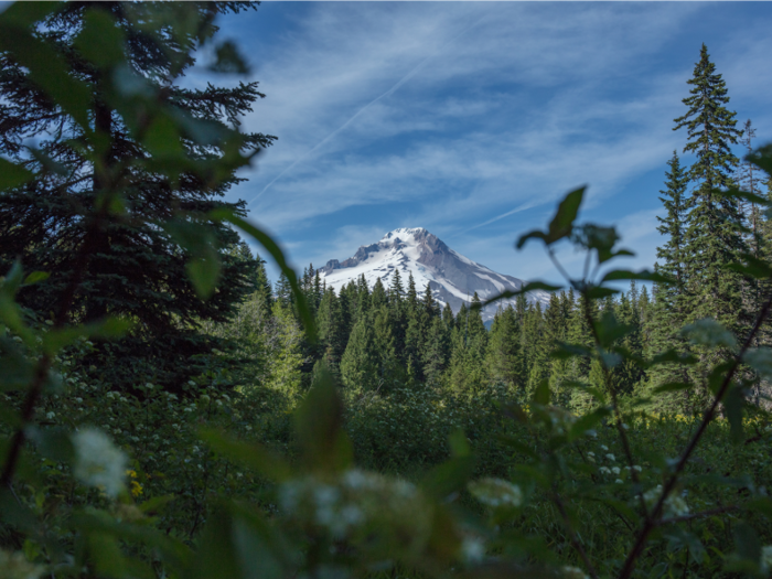 20. Rhododendron, Oregon, in the Cascade Mountains, isn