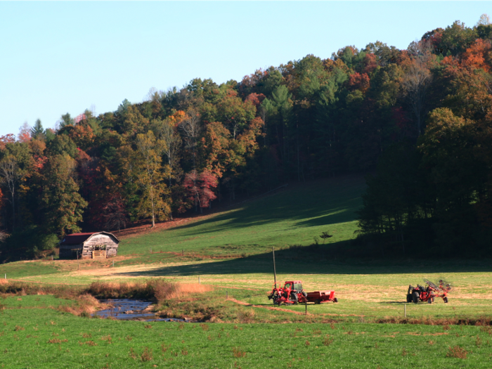 21. Ellijay, Georgia, an hour-and-a-half north of Atlanta, is known as the state