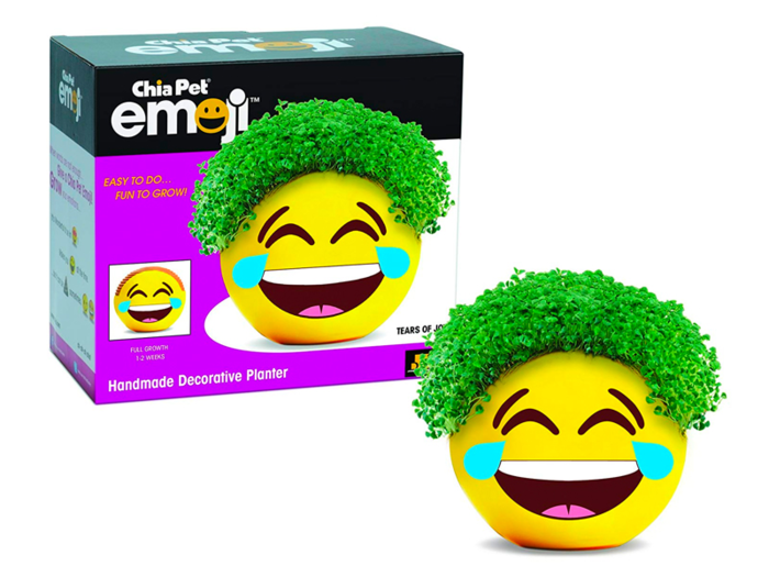 Emoji Chia Pet