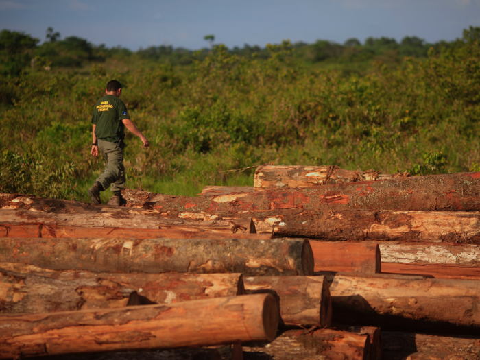 His administration has also cut down on the seizing of illegally harvested timber. In 2018, the Brazilian government seized 883,000 cubic feet of illegal timber. But as of May 15, 2019, Bolsonaro