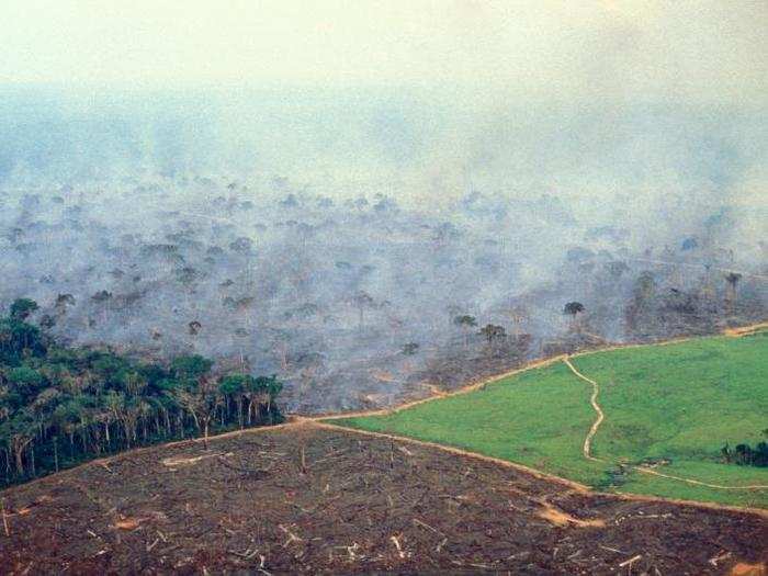 That would spell disaster for Amazonian flora and fauna, of course, and it would also lead to the release of 140 billion tons of stored carbon dioxide.