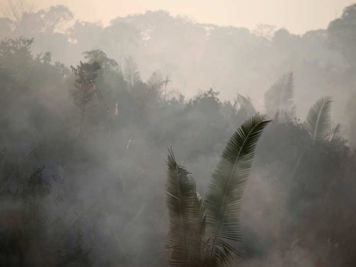 July set a new record for the most deforestation of the Amazon in one month: The Amazon shrunk by 519 square miles (1,345 square kilometers).