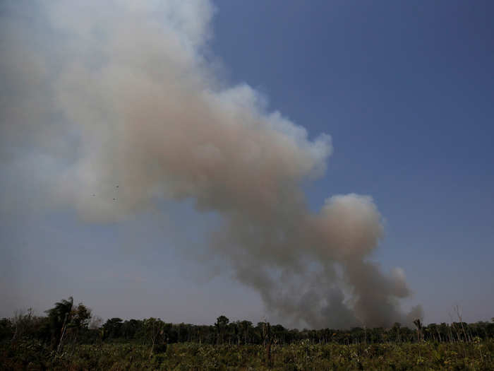 The fires are directly linked to deforestation, since farmers sometimes set the forest ablaze to make room for livestock pastures and crop fields.