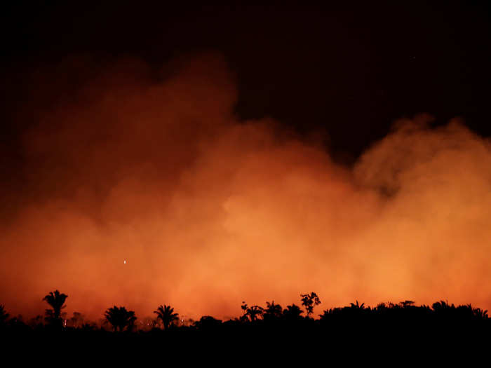 According to Reuters, parts of the rainforest smell like a barbecue.