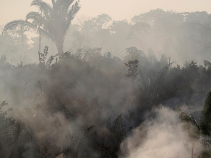 Meanwhile, smoke is filling the rainforest, which is frequently called "the lungs of the world."