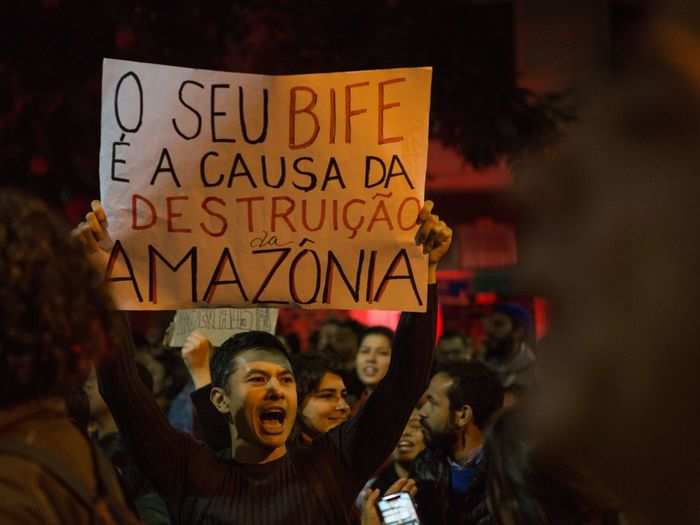 "Your steak is the cause of Amazônia destruction," this sign says in Portuguese. Clearing the rainforest for cattle farming is a major cause of the fires and deforestation.