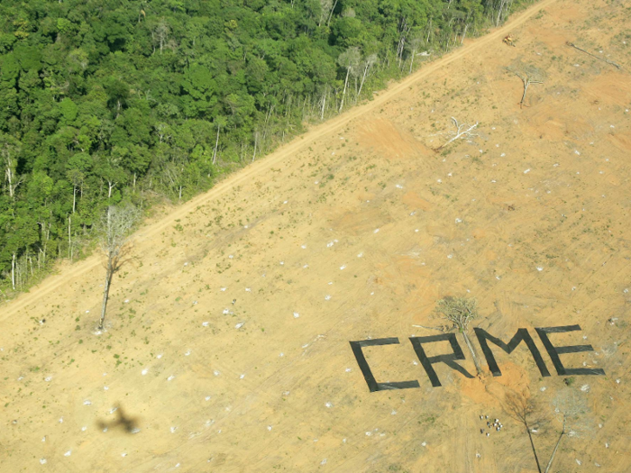 Environmental activists have been fighting to save the rainforest for years. Here, a Greenpeace protest calls deforestation a "crime" near the Brazilian town of Claudia, Mato Gross, in 2005.