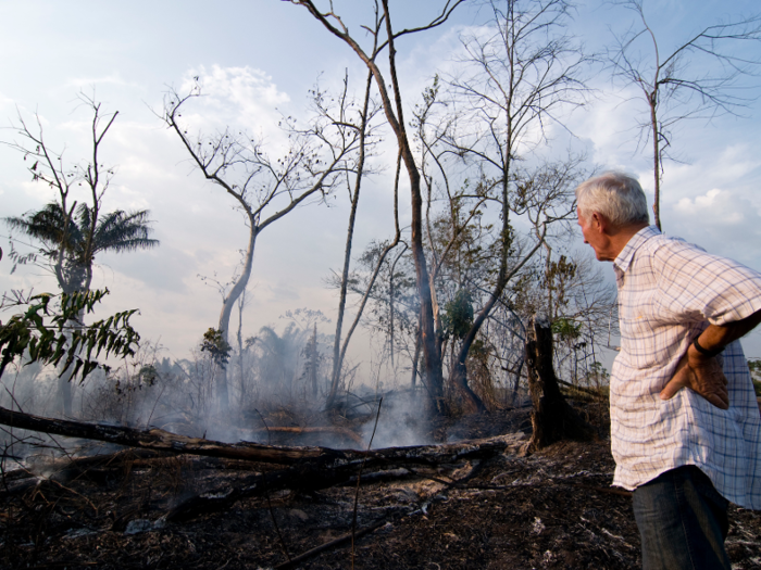 Many people, like Frere Henri Burin Des Roziers, work to protect the rainforest. Seen here in September 2008, he stares at the destruction and scorched earth caused by fire near Para, Brazil. Because of his work, he