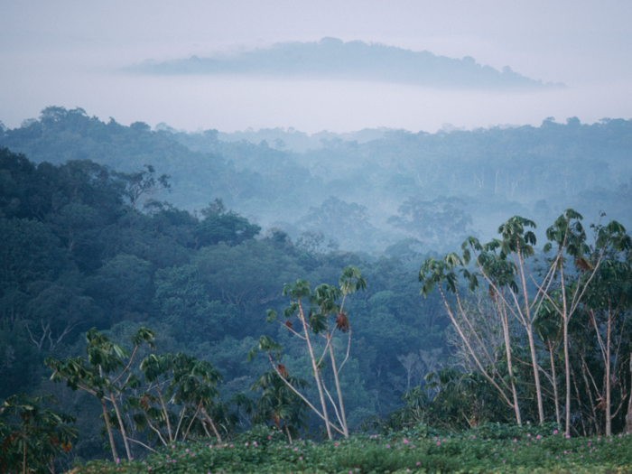 Back in 1988, it was mist rather than smoke that made it hard to see the tree canopy in the jungle.