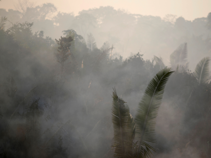 In 2019, thick smoke now blankets much of the Amazon. The actual size of the fires is still not entirely clear, but they