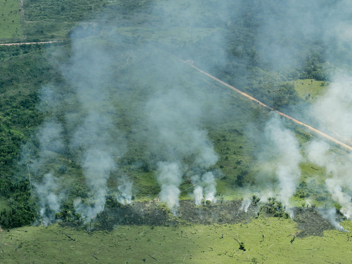 Smoke looks thinner and lighter, in 1973, when Brazil was beginning to try and integrate the rainforest into its economy, through logging and cultivating farmland.