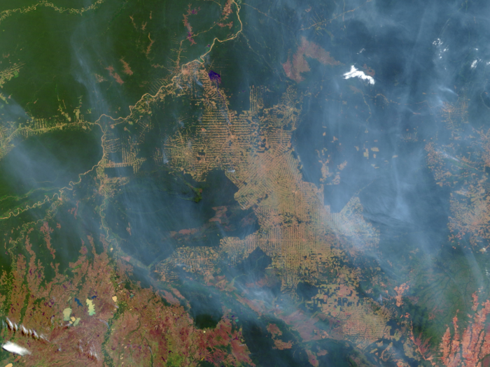 Deforestation and fires to make way for development, logging, and agriculture have been two of the biggest threats to the rainforest over the years. In 1999, a satellite image shows deforestation in Brazil