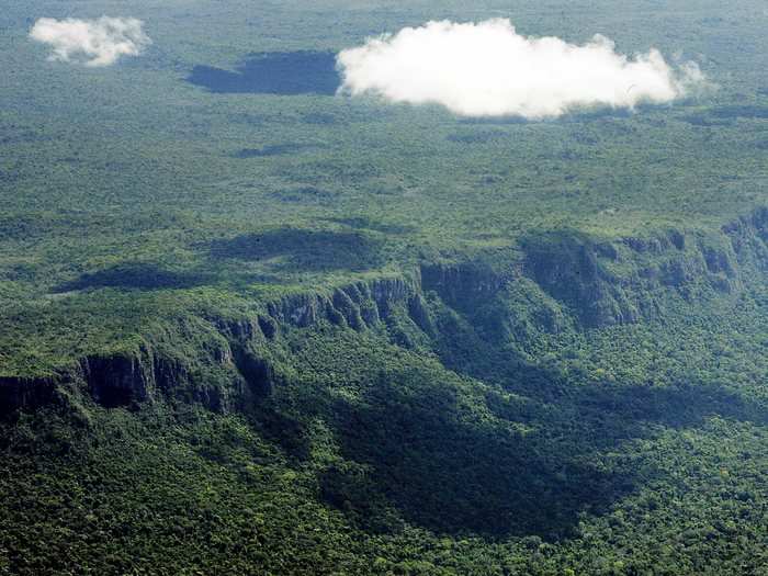 This is what virgin, untouched rainforest looked like in 2005.