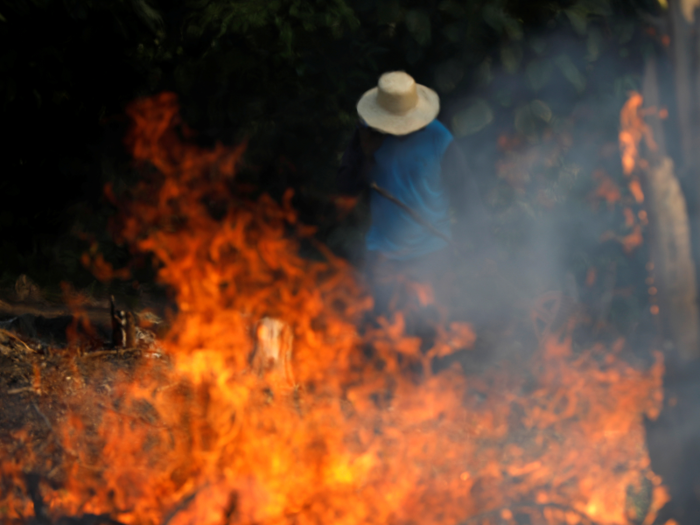 But in 2019, Brazil has already had over 72,000 fires, nearly double its 2018 total of almost 40,000 fires. This increase is deliberate, coming from farmers and loggers clearing the land. The Brazilian government has been criticized for prioritizing agricultural and mining over the rainforest.