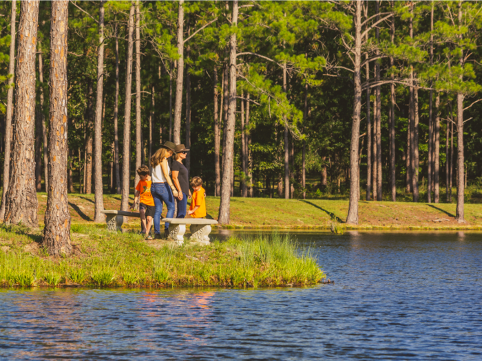 There are around 109 manicured acres around the home, 116 acres of planted longleaf pines, and around 3.5 miles of access to Juniper Creek and Pond Creek. The property also includes three ponds full of bass, bream, and catfish.