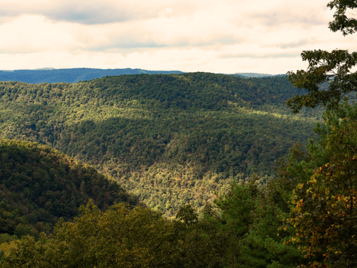 Bluefield, West Virginia: The median rent in Bluefield is $553.