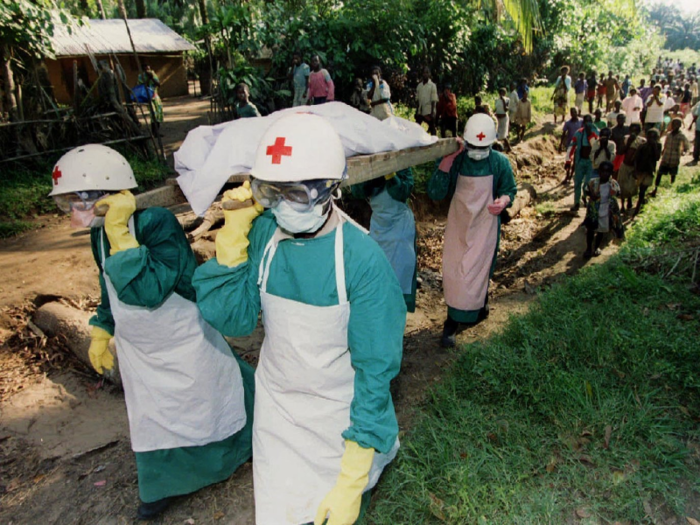 In 1994, 15 years after the last Ebola outbreak in Africa, several chimpanzees were found dead in Taï National Park, in Ivory Coast. When three researchers found a dead chimp, they dissected it on the spot. Little more than a week later, one of the researchers, a Swiss woman, had Ebola. She made a full recovery six weeks later. It was a one-off case.