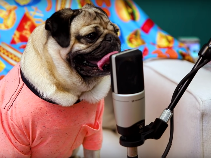 2. Doug the Pug — 10.4 million