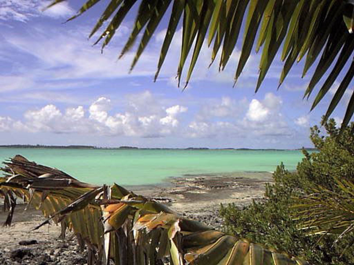 Diego Garcia is a tropical island, with white sands and coconut forests, surrounded by azure seas.