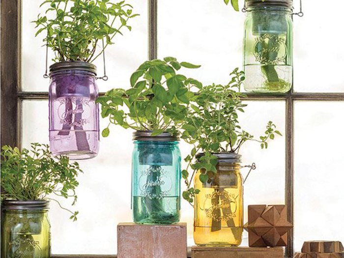 A flexible herb garden for the home